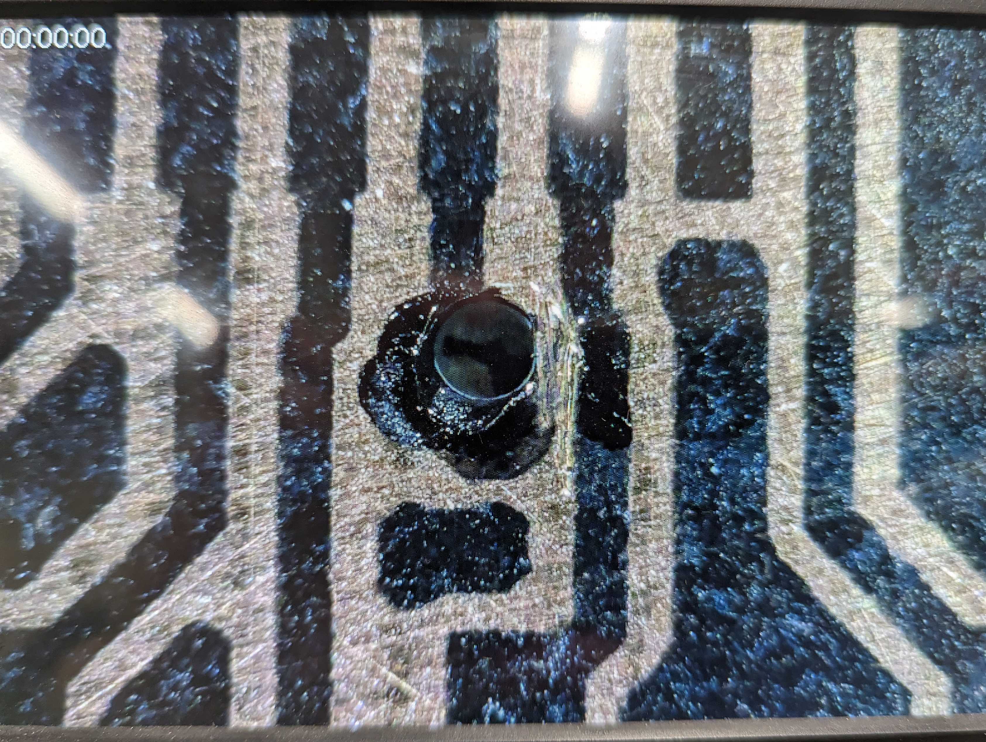 PXL_20231107_025414326