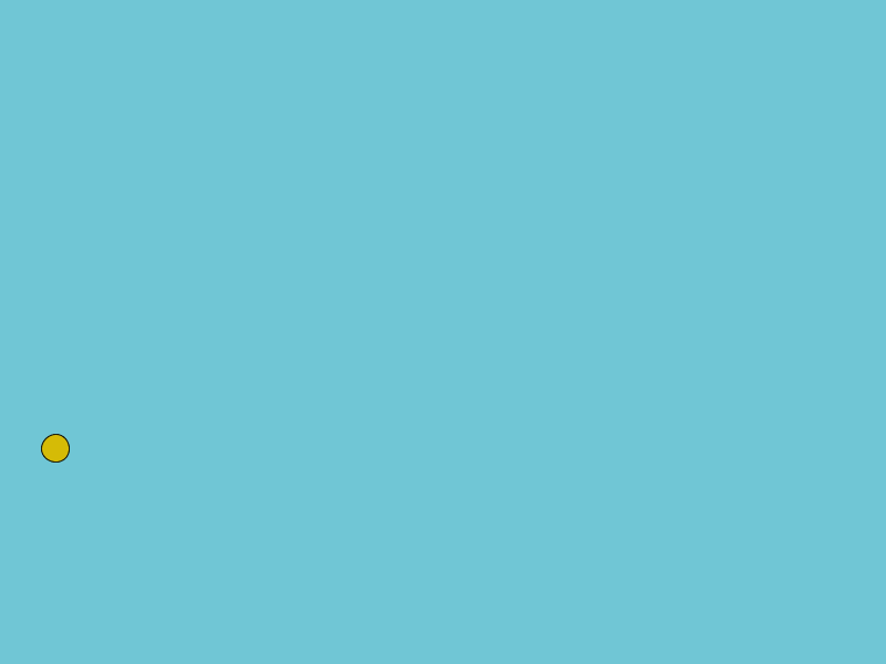 bird1