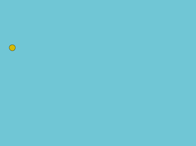 bird2
