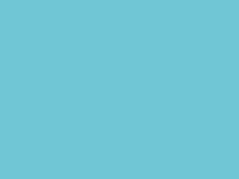 bird3