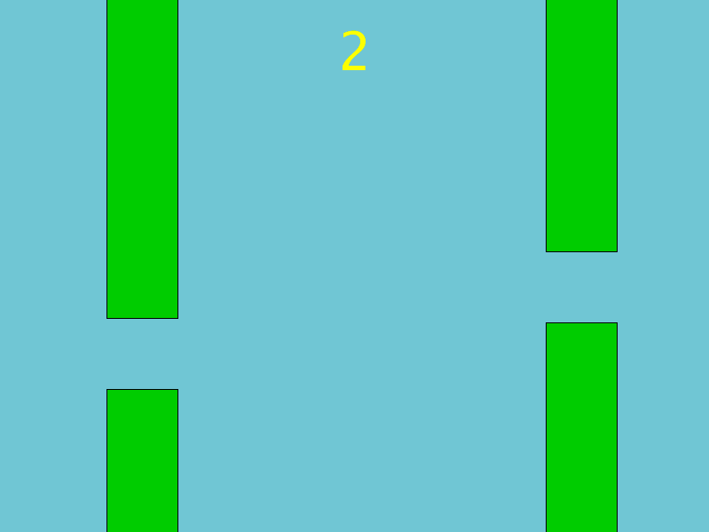 bird5