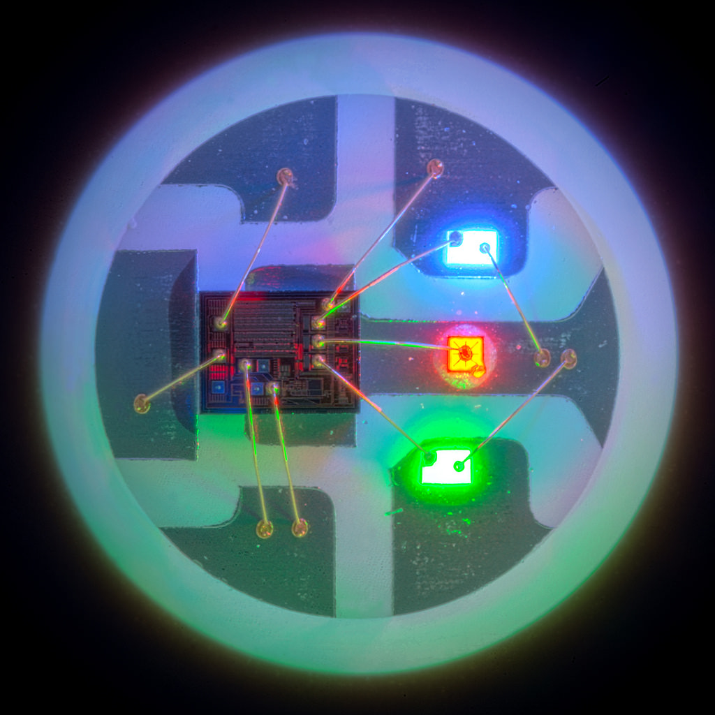 10091445414_7eefc5af93_b